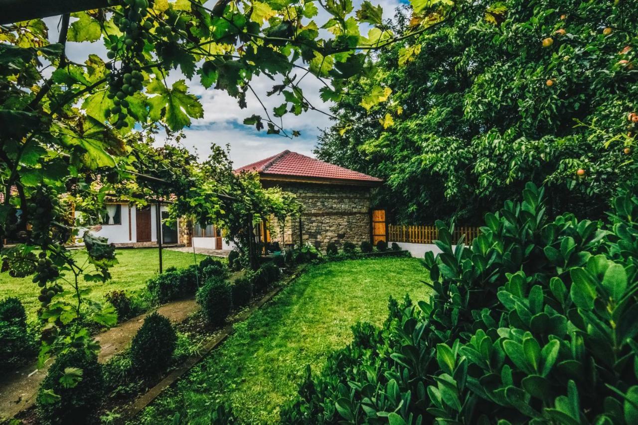 Завоя Hotel Kruşuna Exterior foto